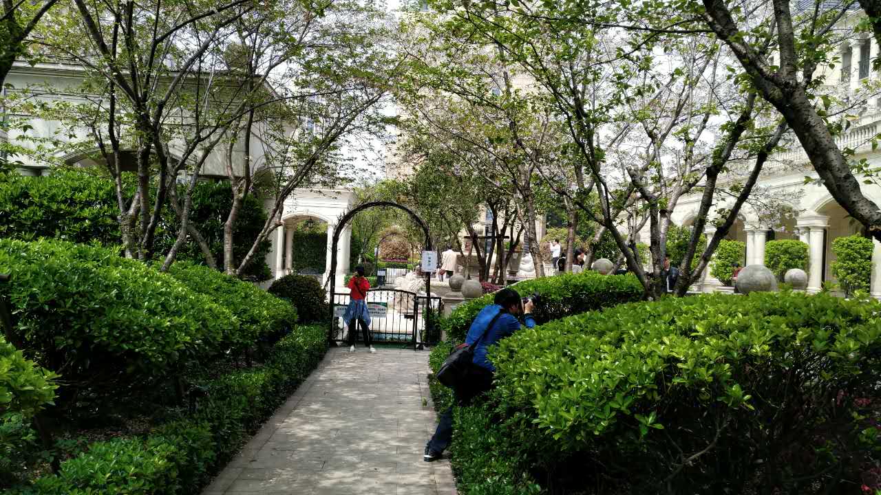 11366620_058069.jpg
