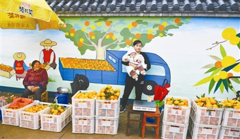 主要看气质_农民主要收入来源(3)