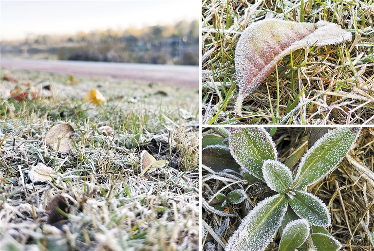 ˪Ҷ��Ө �ųǡ�������ʮ��