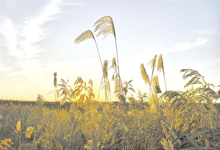 ��������«έʢ��