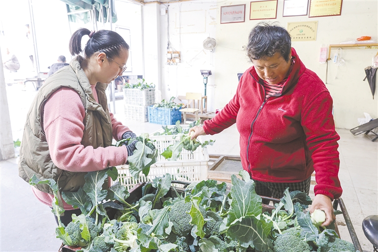 �̻��˼�������