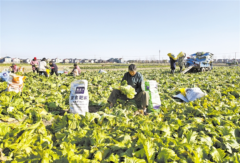 ��ũ�����ս��