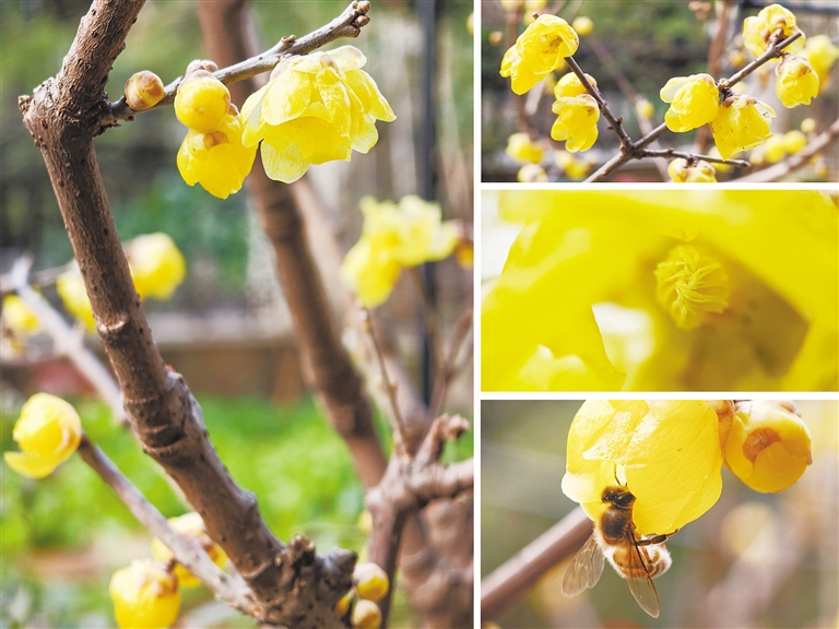 ��÷����