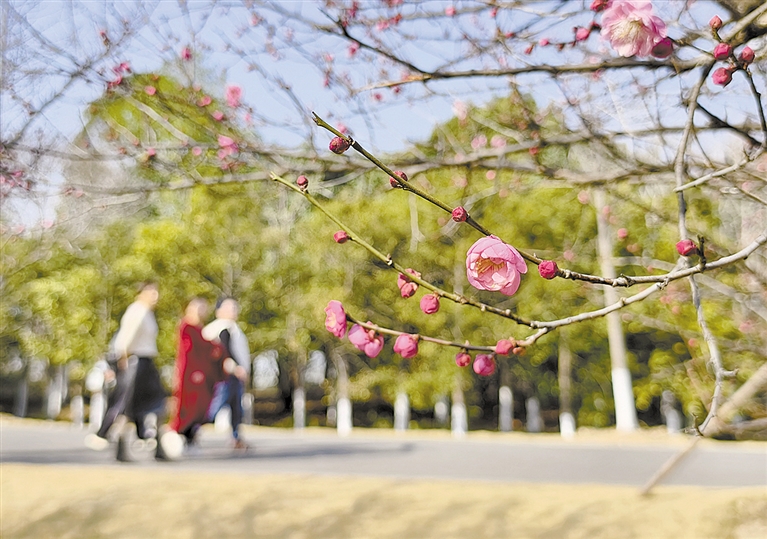 �ǵ�糺� һ������