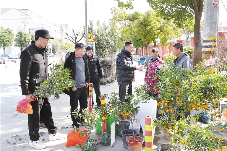 ������ľ��