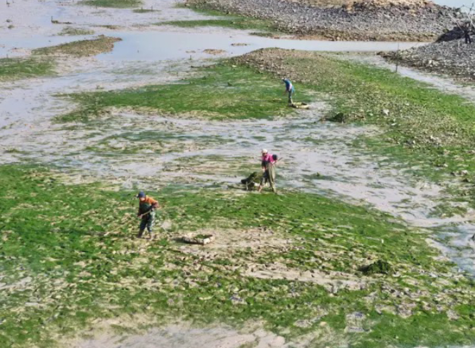 ��׬ǧԪ�����ϡ���һ���ʡ�����æ