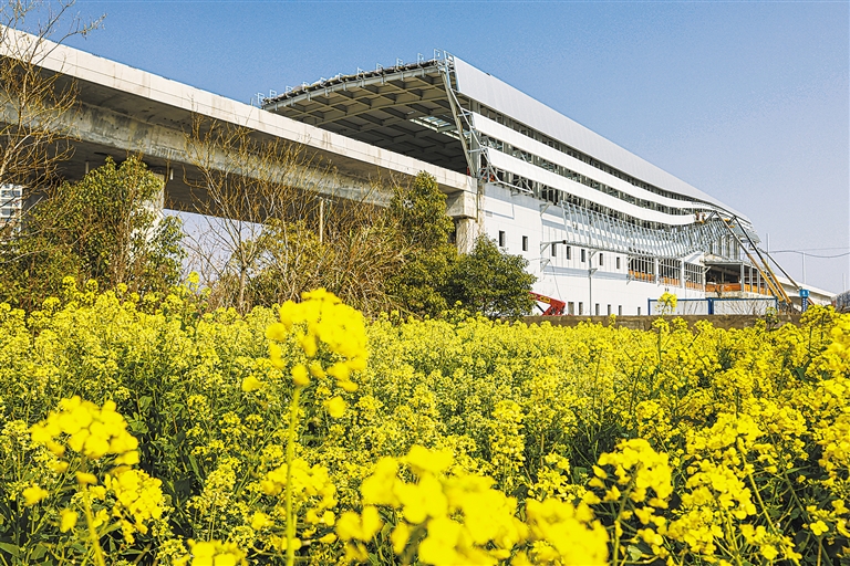 ��ɽվ��������