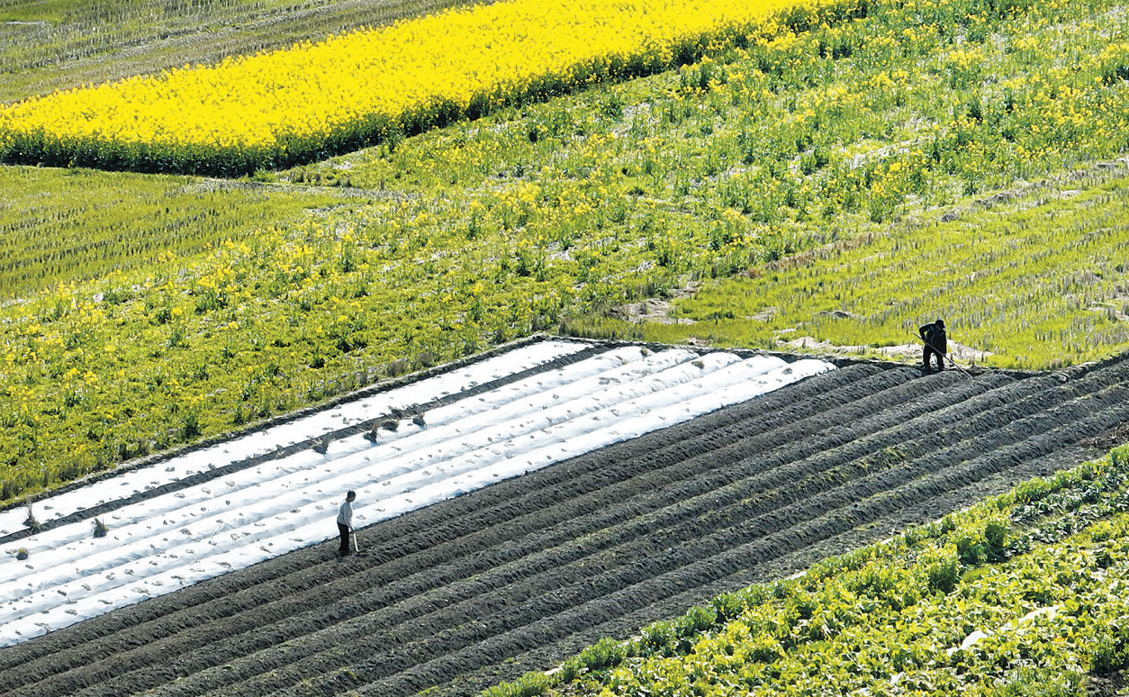 �������� ����ũʱ