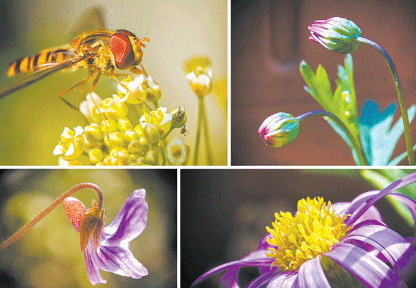 ����΢��