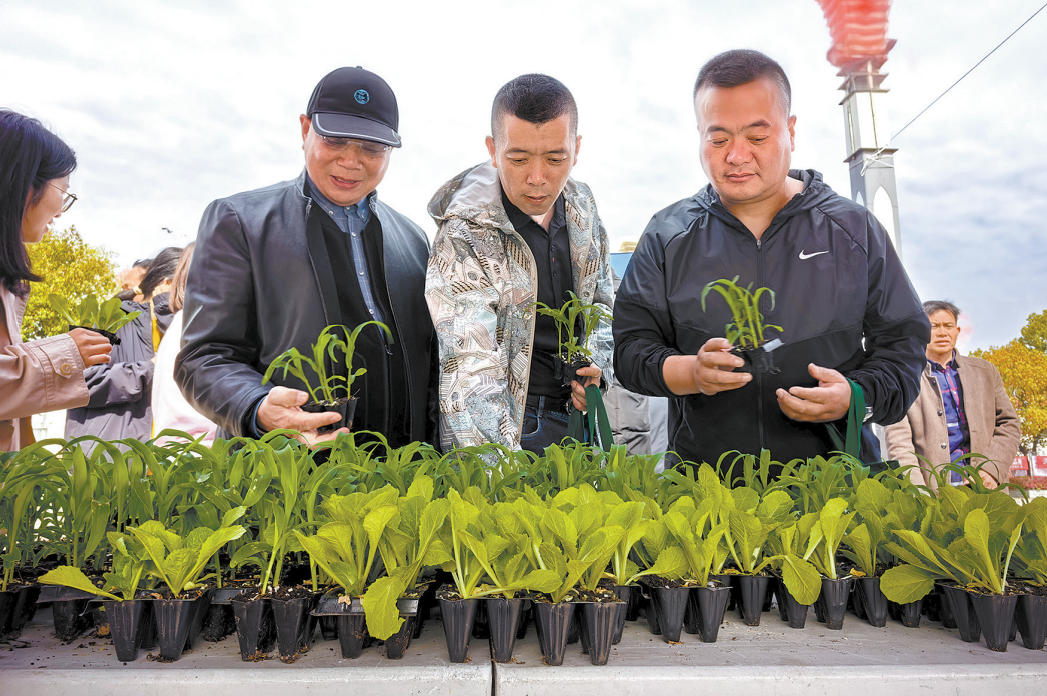 ��һվʽ��������������