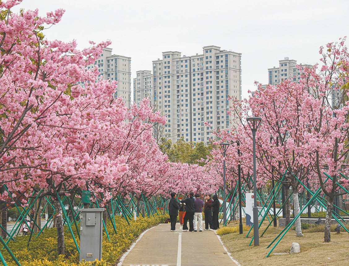 ��ӣ����������