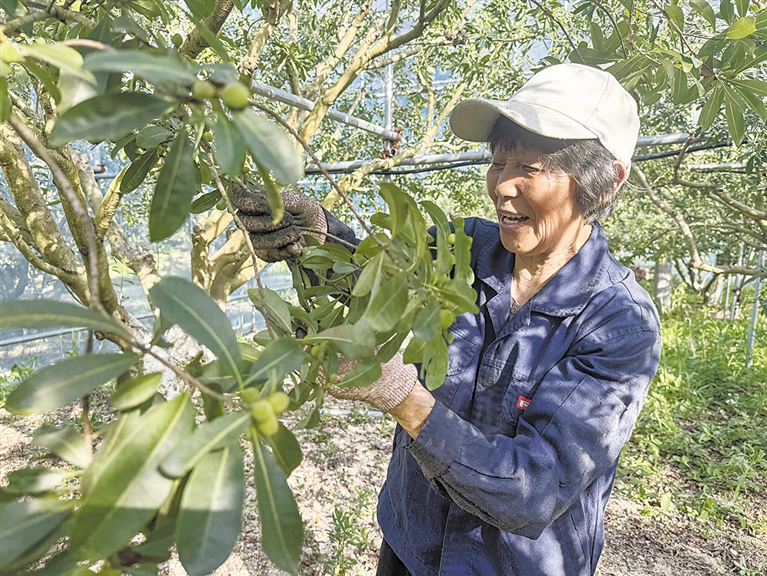 ������÷���æ