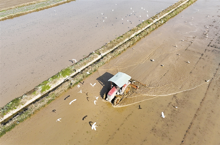 ��Ұ��������