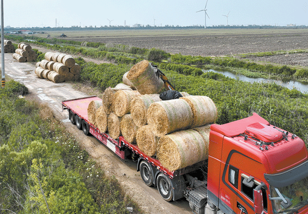 ���ա������� ���Ϊ��